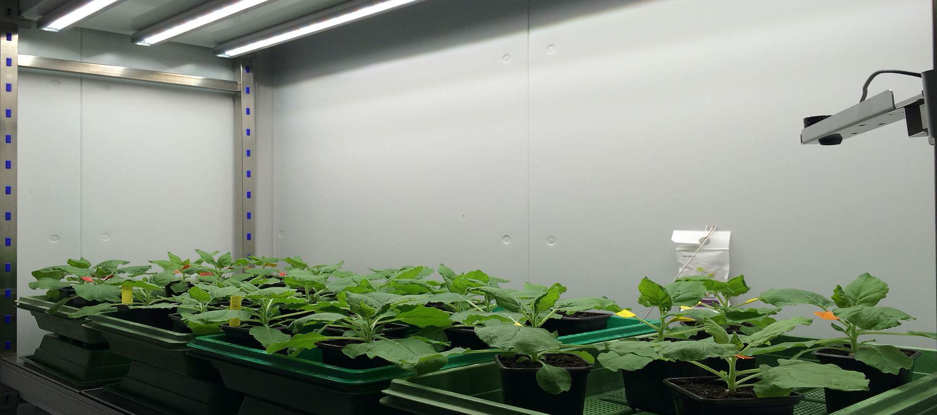 ตู้ควบคุมการเจริญเติบโตเพาะเลี้ยงพืช และชีวภาพ (BIO PLANT RESEARCH) ยี่ห้อ ARALAB รุ่น FITOCLIMA PLH “WALK-IN” (SIT165)