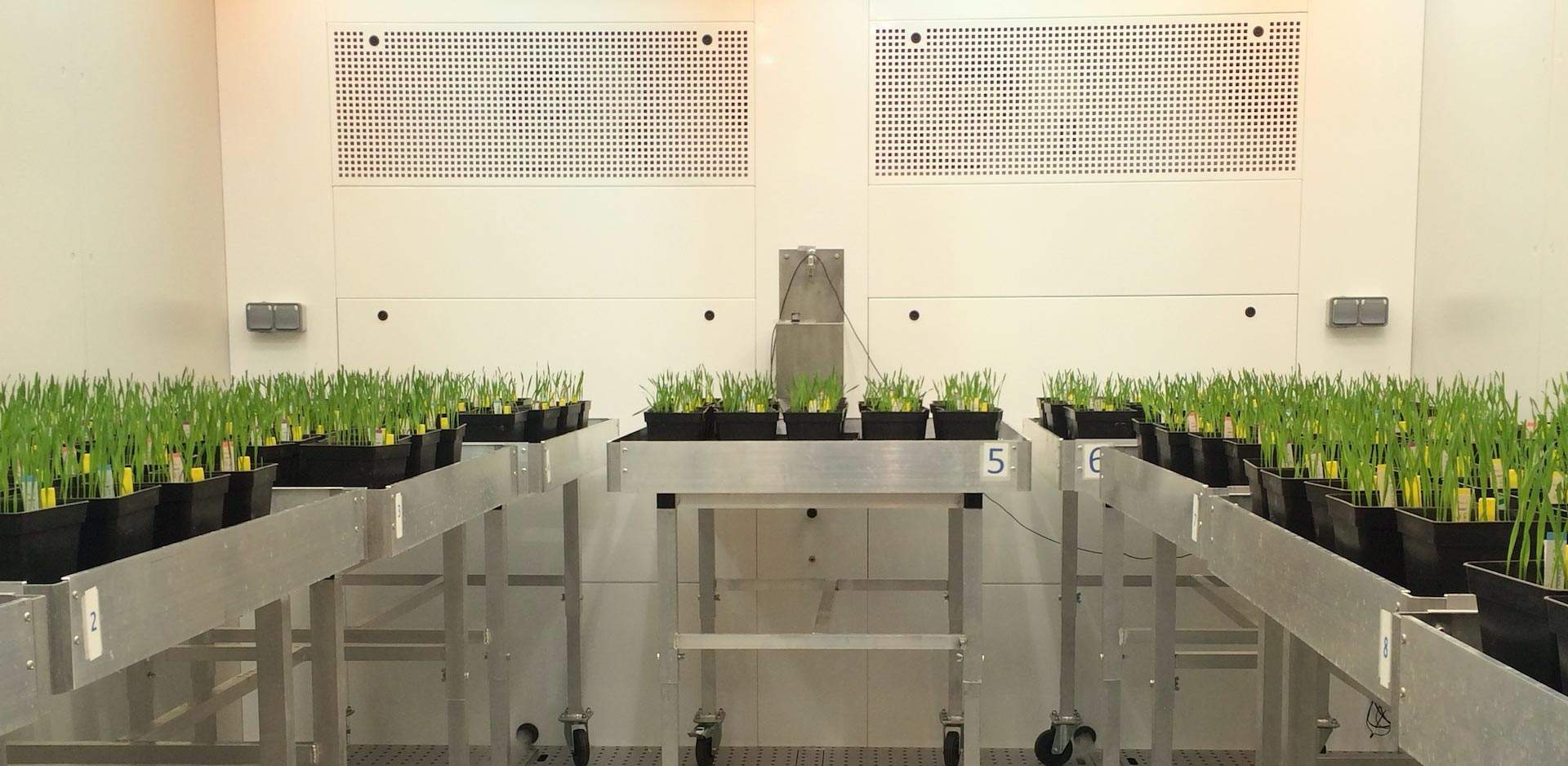 ตู้ควบคุมการเจริญเติบโตเพาะเลี้ยงพืช และชีวภาพ (BIO PLANT RESEARCH) ยี่ห้อ ARALAB รุ่น FITO CLIMA HP “WALK-IN” (SIT166)