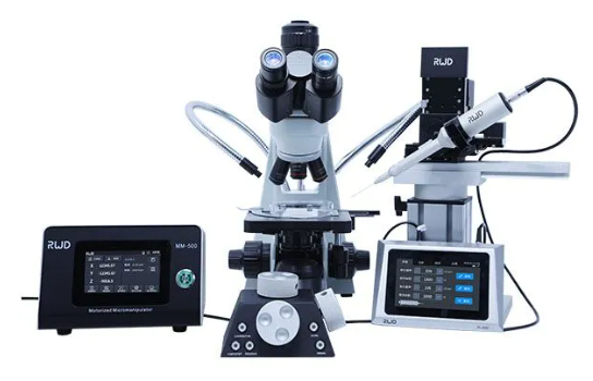 ไมโครแมนิพิเลเตอร์แบบใช้มอเตอร์ (Motorized Micromanipulator) ยี่ห้อ RWD รุ่น MM-500